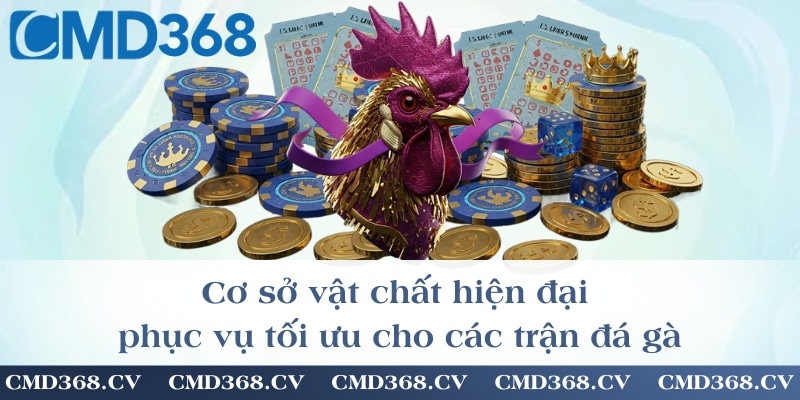 Cơ sở vật chất hiện đại phục vụ tối ưu cho các trận đá gà