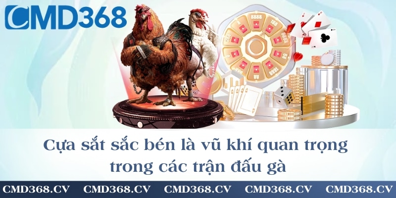 Cựa sắt sắc bén là vũ khí quan trọng trong các trận đấu gà