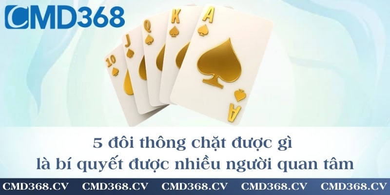 5 đôi thông chặt được gì là bí quyết được nhiều người quan tâm