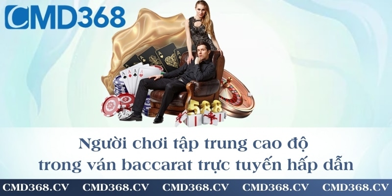 Người chơi tập trung cao độ trong ván baccarat trực tuyến hấp dẫn