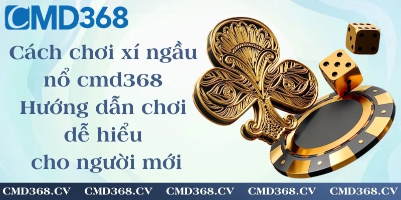 Cách chơi xí ngầu nổ cmd368 - Hướng dẫn chơi dễ hiểu cho người mới